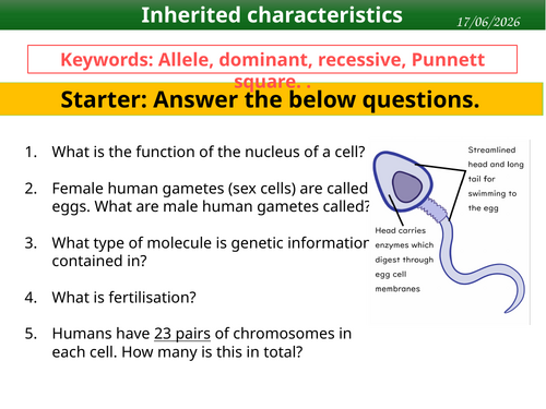 Inherited characteristics KS3