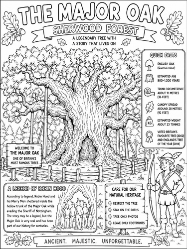 The Major Oak Poster