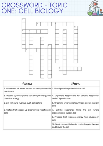 GCSE Biology AQA Topic 1 Cell Biology Crossword Activity