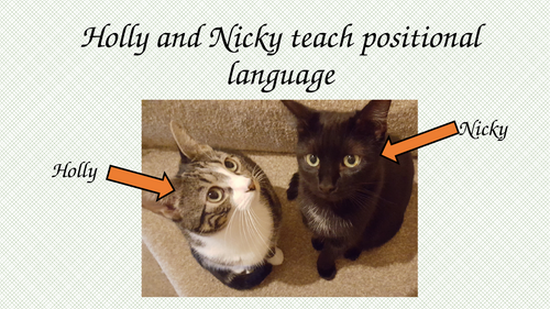 Positional Language Powerpoint