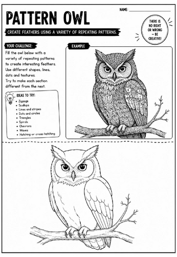 Pattern Owl Art Worksheet | Zentangle Bird Drawing Activity | KS2 KS3 Cover Lesson