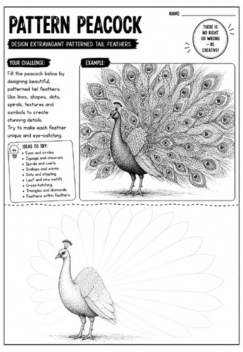 Pattern Peacock Art Worksheet | Zentangle Bird Drawing Activity | KS2 KS3 Cover Lesson