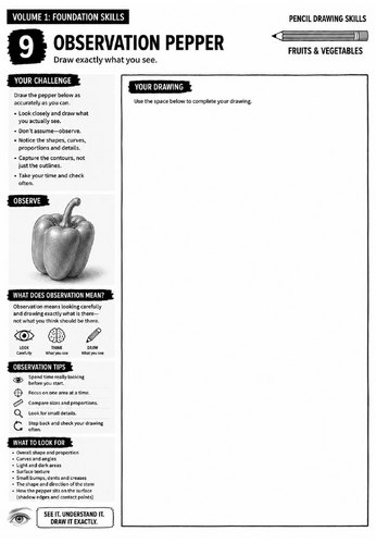 Observation Pepper Worksheet | Pencil Drawing Skills | Observational Drawing Practice | KS3 Art Cove