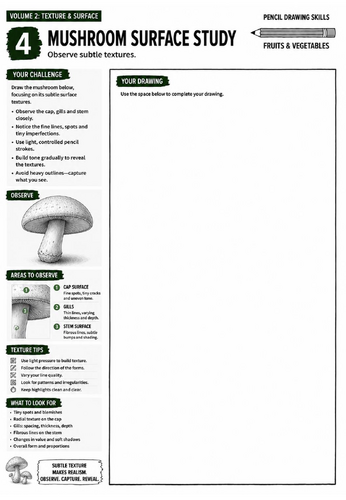 Mushroom Surface Study Worksheet | Pencil Drawing Skills | Texture & Observation Drawing | KS3 Art C