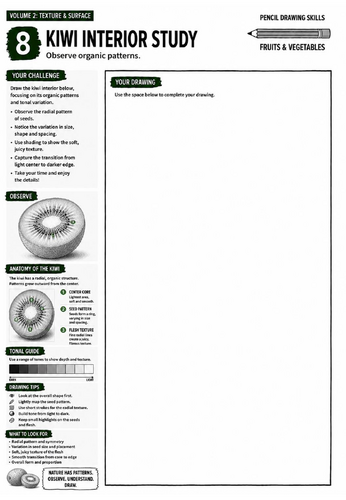 Kiwi Interior Study Worksheet | Pencil Drawing Skills | Pattern, Texture & Observational Drawing | K