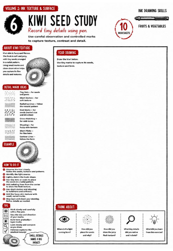 Kiwi Seed Study Worksheet | Ink Drawing Skills | Fine Detail, Texture & Observational Drawing | KS3