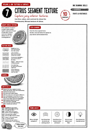 Citrus Segment Texture Worksheet | Ink Drawing Skills | Texture, Detail & Observational Drawing | KS