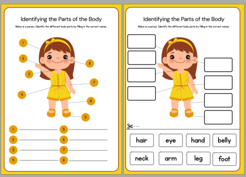 Interactive Body Parts Worksheets: Write, Cut & Stick (EYFS/KS1)