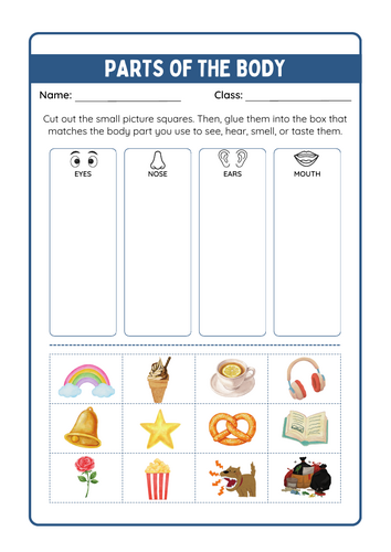 Interactive Body Parts Worksheets: Write, Cut & Stick (EYFS/KS1)