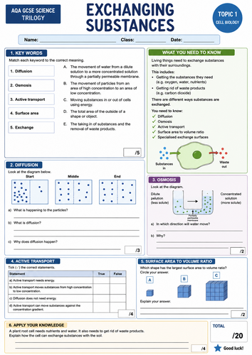 B1- Cells transportation