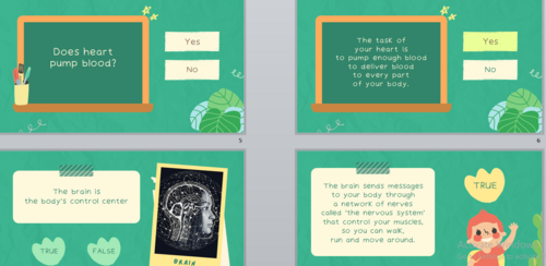 Human Body Presentation & Quiz Game (23-Slide PowerPoint)