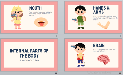 Exploring Our Body: Internal & External Parts (19-Slide PowerPoint)