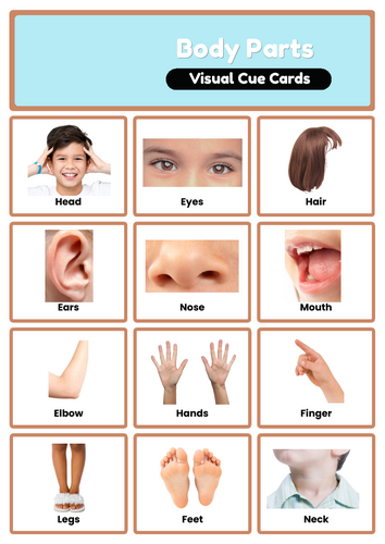 Body Parts Visual Cue Cards