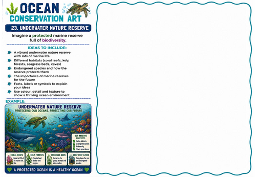Ocean Conservation Art – Underwater Nature Reserve Drawing Worksheet | KS2 KS3 Environmental Art