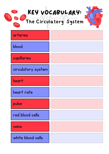 The Heart / Circulatory System Vocabulary Sheet (Unit: animals including humans)