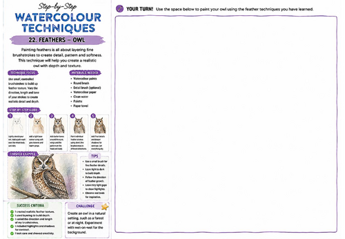 Step-by-Step Watercolour Techniques | Feathers Owl | KS3 Art Watercolour Worksheet
