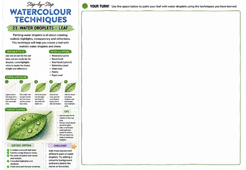 Step-by-Step Watercolour Techniques | Water Droplets Leaf | KS3 Art Watercolour Worksheet
