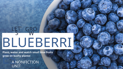 Grow Blueberries! Comprehension Worksheets