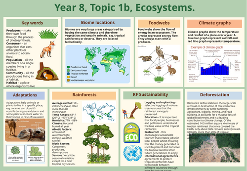 Geography Ecosystems knowledge organiser - editable
