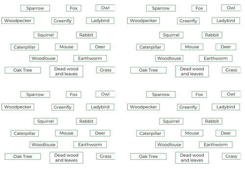 KS3 Ecosystem full topic and SoW