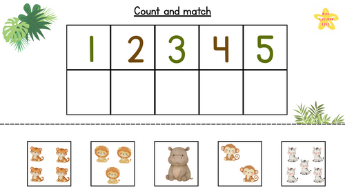 Count and match safari