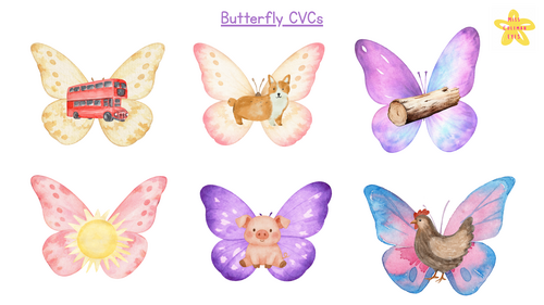 CVC butterflies