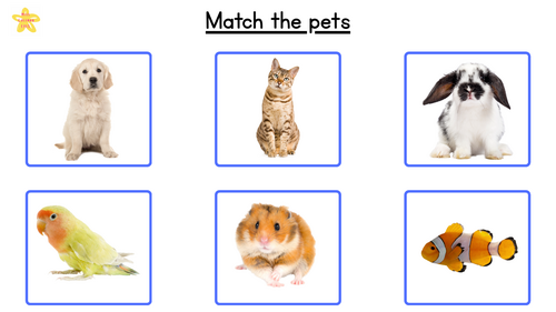 Match the... flashcard game
