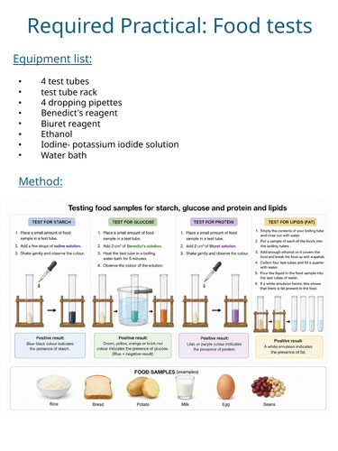 AQA GCSE Biology - Required Practical - Food Tests