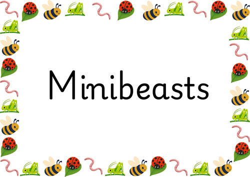 EYFS Minibeasts Complete Continuous Provision Enhancement Pack | 100 Pages | EYFS & Year 1