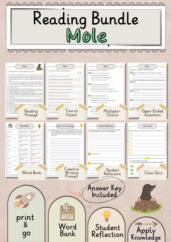 Mole Premium Reading Comprehension Activities Bundle with Word Bank