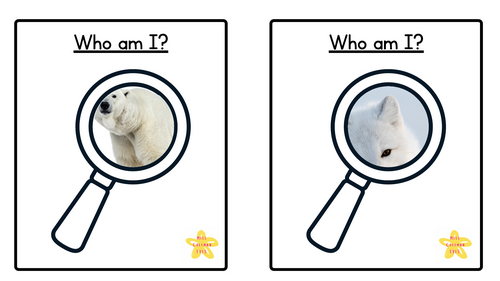 Who am I? Arctic animal cards.