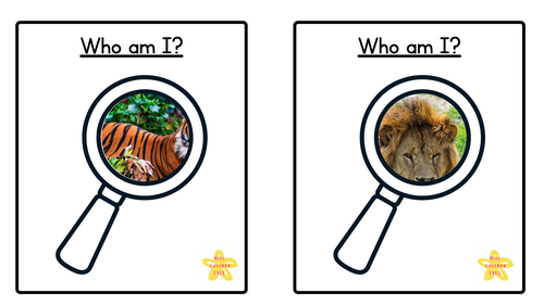 Jungle who am I cards