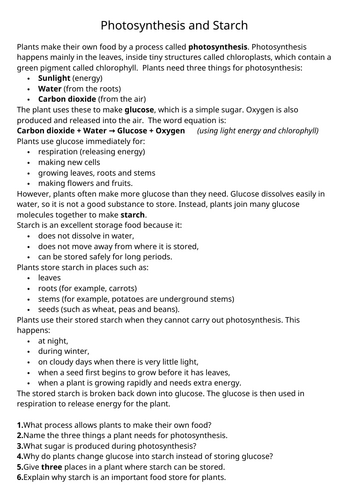 Photosynthesis and Starch Comprehension Worksheet - Science and Literacy