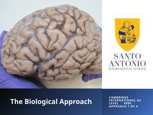 Introduction to the Biological Approach