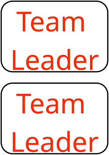Team Leader Badge for Lanyard