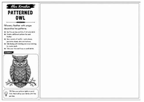 Patterned Owl | Alex Konahin Inspired Owl Drawing Worksheet | Decorative Pen & Ink Art