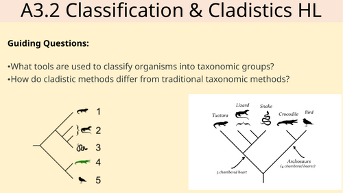 A3.2 Classification & Cladistics IB DP BIO