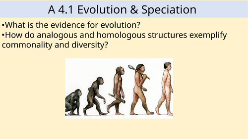 A4.1 Evolution & Speciation IB DP Bio