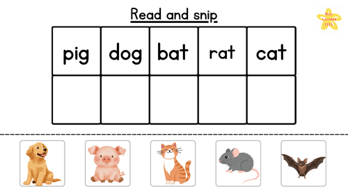Read snip- CVC animals