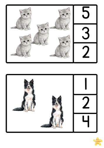 Pets peg the numbers 1-5