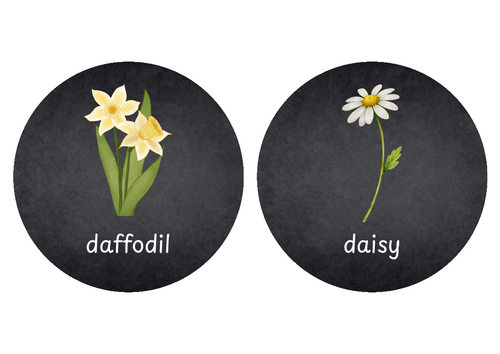 Flower blackboard circles