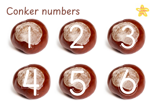 Conker numbers
