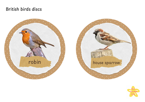 British birds discs