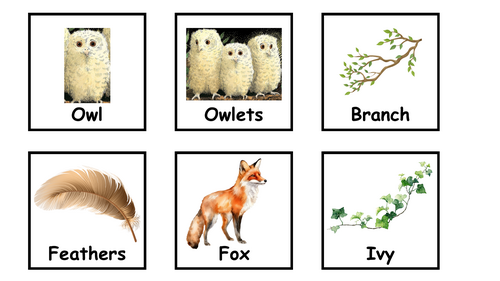 Owl Babies vocabulary cards