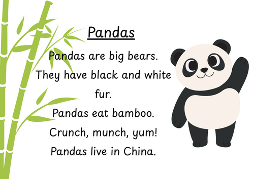 'Pandas are...' comprehension activity.