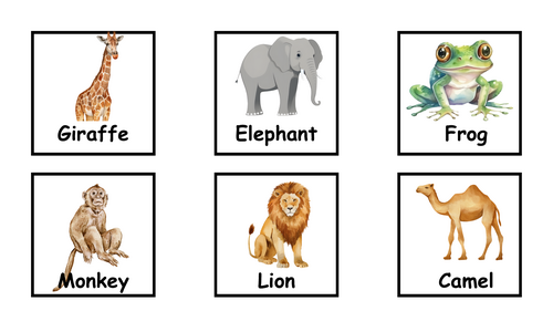 Dear Zoo vocabulary cards