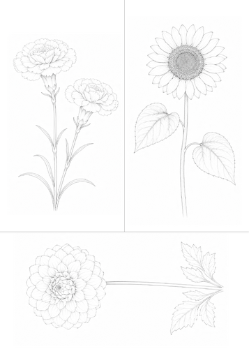 Watercolor Coloring Pages: Flowers | 30 Easy Watercolor Art Sheets for Children and Adults
