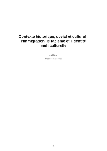 La Haine – Immigration, Racism and Multicultural Identity