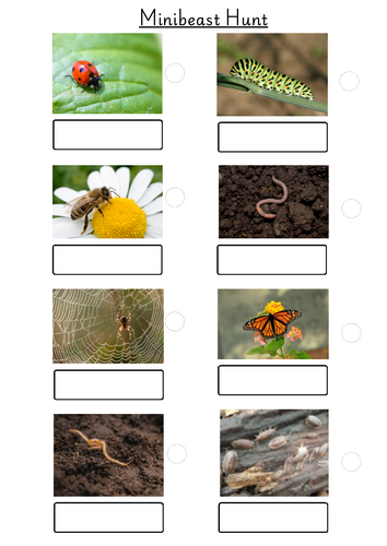 Bug Hunt sheet