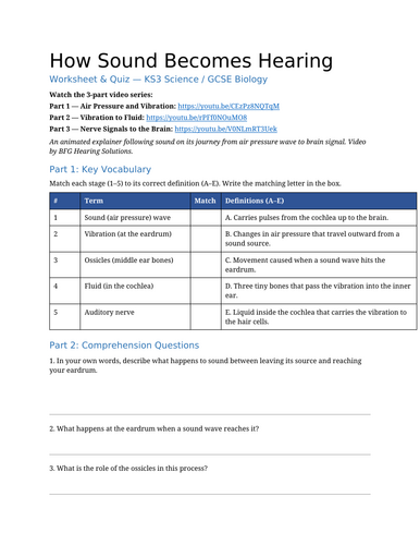 How Sound Becomes Hearing (KS3/GCSE)
